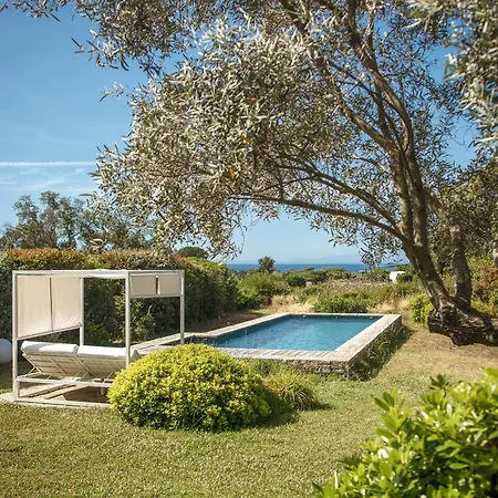 Les Lofts De Palombaggia *